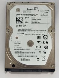 ST9250320AS