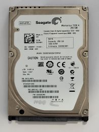 ST9250410AS