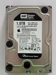 WD1001FALS-40Y6A0