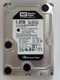 WD1001FALS-403AA0